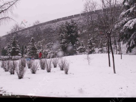 南京明城墙雪韵图片