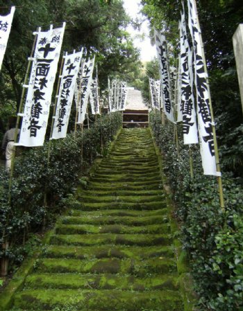 鎌倉圓覺寺图片