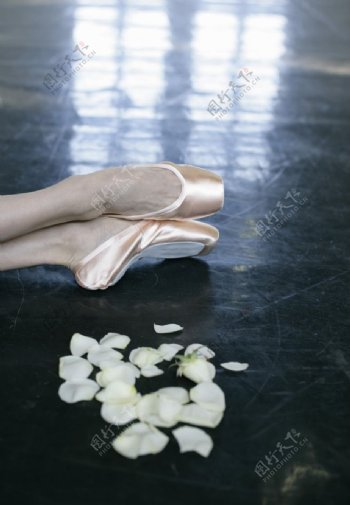 芭蕾鞋图片