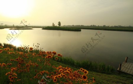 蔡家坡渭河湿地公园图片