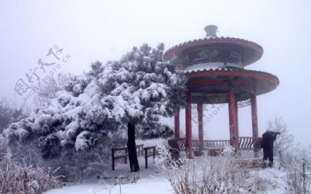 渑池韶山雪韶山雪图片
