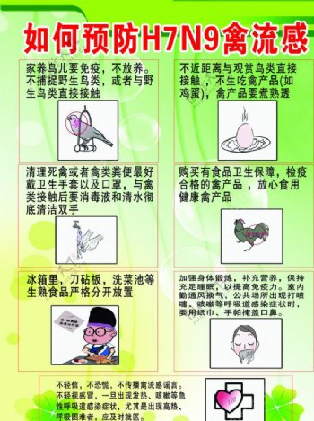 预防禽流感H7N9展板图片
