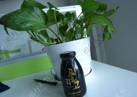 荣九天然植物饮料图片