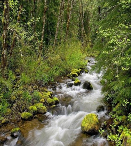 小溪流水山林图片
