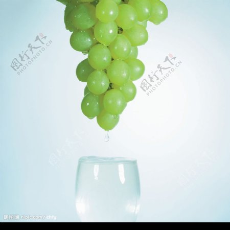 绿葡萄饮料图片