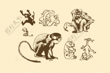 动物图案猴图片