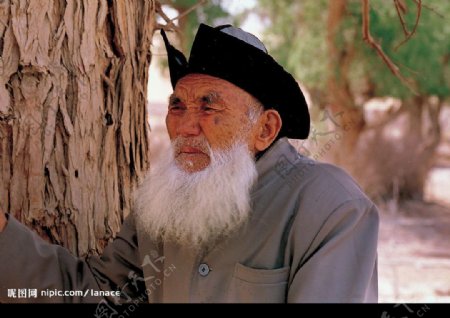 新疆罗布麻百岁老人图片