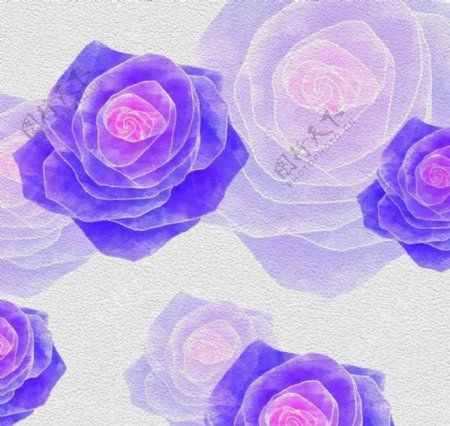 紫色玫瑰无框画图片
