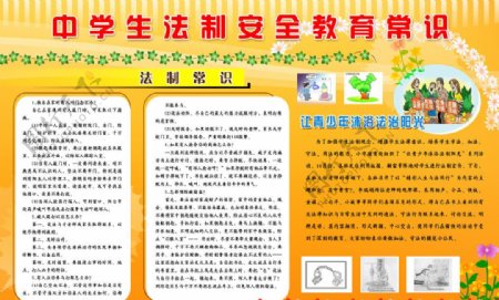 中学生法制安全图片