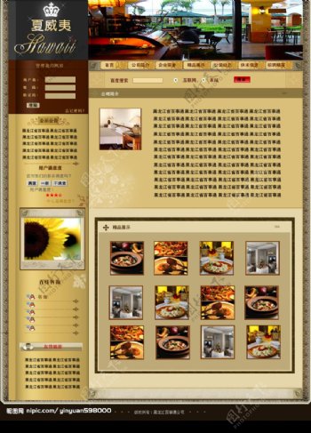 网页设计夏威夷大酒店图片