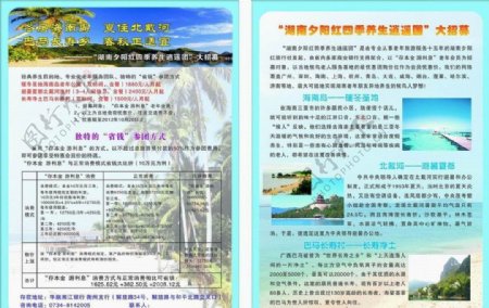海南岛等地旅游宣传单图片