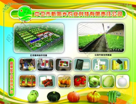中卫市新阳光农业科技有限责任公司展板图片
