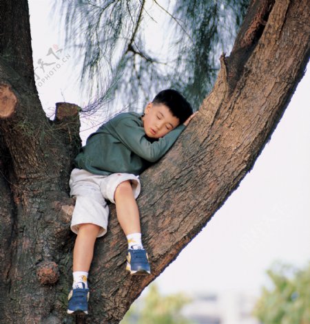 在树上睡觉的孩子图片