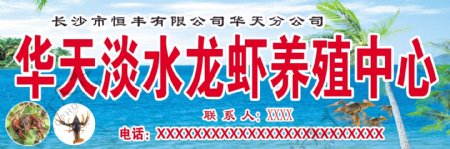 华天淡水龙虾养殖中心图片