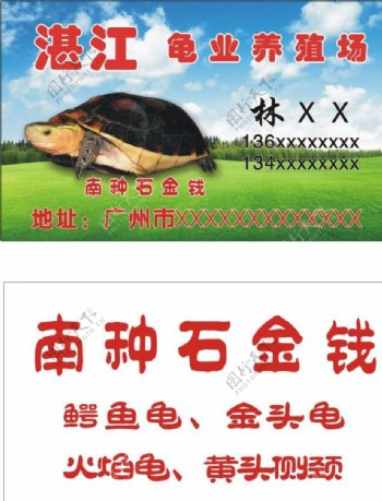 湛江龟业养殖场图片