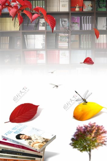 全部分层书架红叶蜻蜓素材图片
