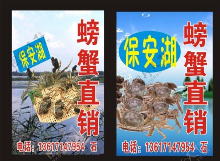 螃蟹海报图片