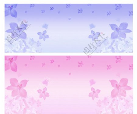 粉色紫色梦幻背景合层图片