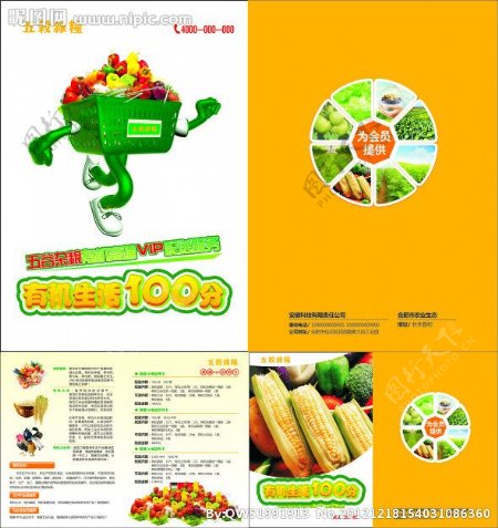 蔬菜折页农业画册图片