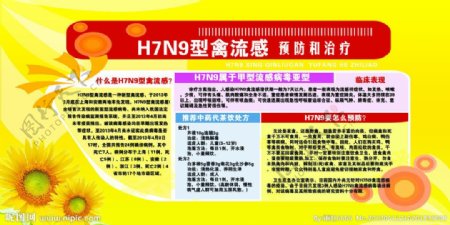 H7N9禽流感预防宣图片