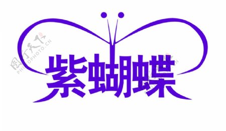 紫蝴蝶图片