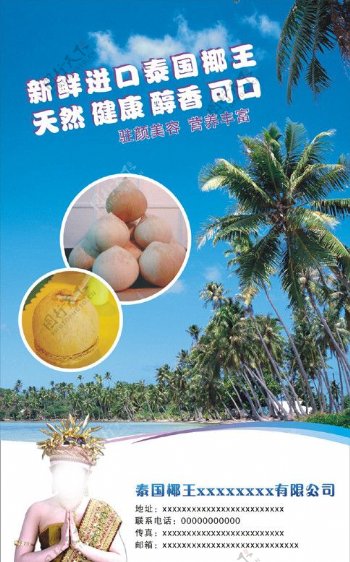 椰子海报图片