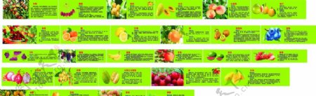 各种水果的营养价值及食疗作用10米长图片