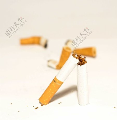 香烟迷绕0319