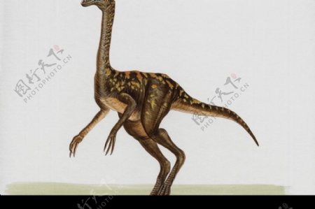 白垩纪恐龙0057