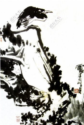 潘天寿鸟石图