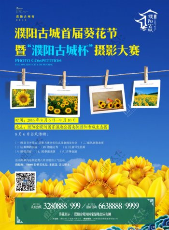 濮阳地产葵花节海报