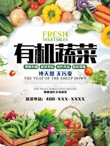 有机蔬菜宣传海报