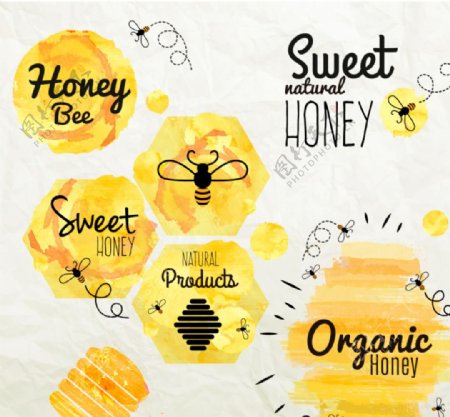 水彩蜂蜜标签矢量图