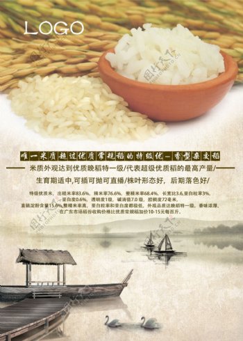 水稻海报设计
