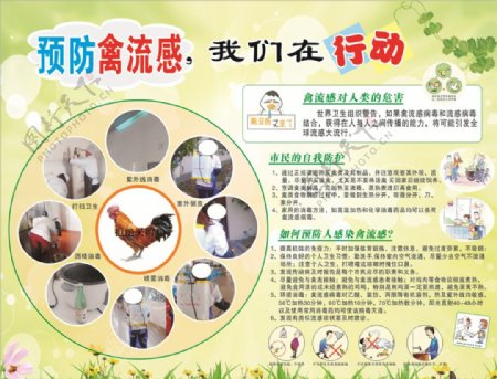 预防H7N9禽流感病毒展板