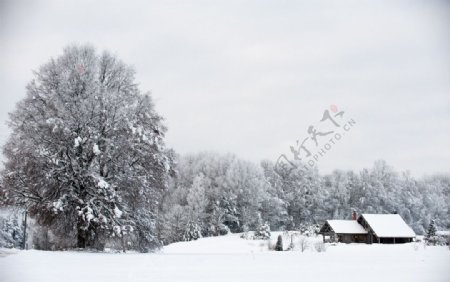 深山雪景中的小屋