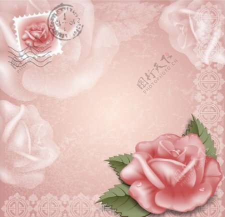 粉红玫瑰花典雅背景