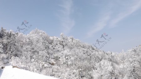 山中雪景