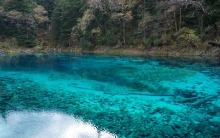 湖景