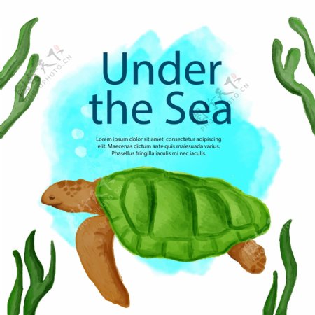 可爱的水彩海龟插图