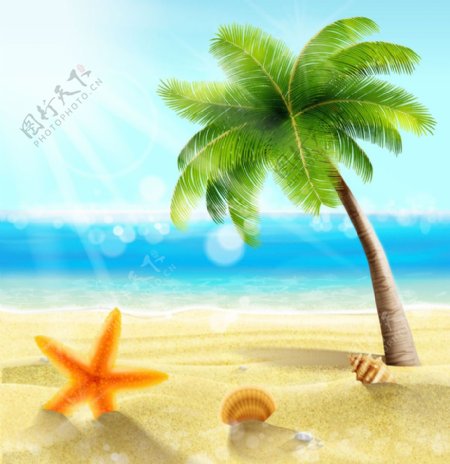 阳光沙滩椰树