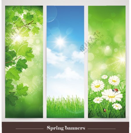 春季风景植物卡片