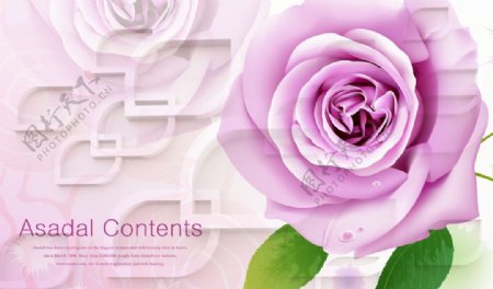 3D菱形粉色玫瑰