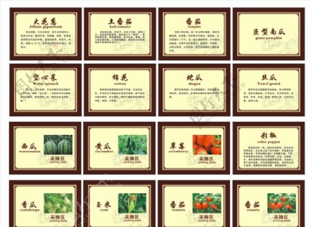 苗木瓜果蔬菜植物木牌展示牌