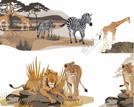 手绘非洲野生动物装饰画大图