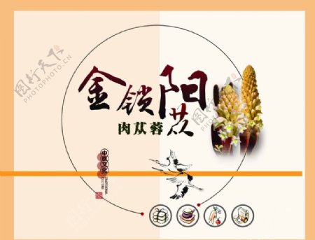 传统中医文化海报