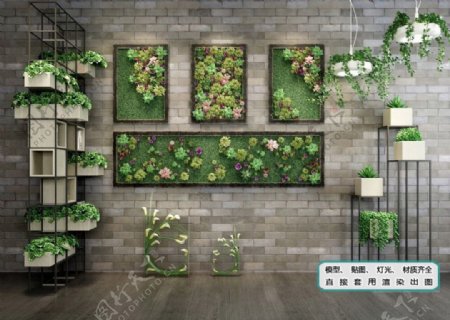 植物墙超精细植物生态