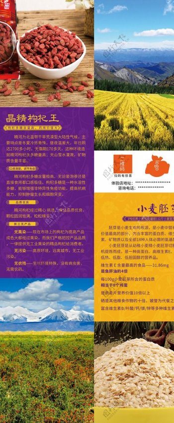 新疆红枸杞小麦胚芽海报