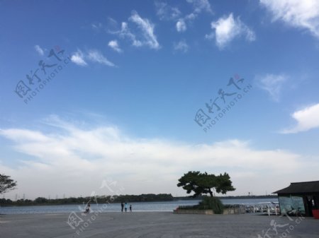 金仓湖