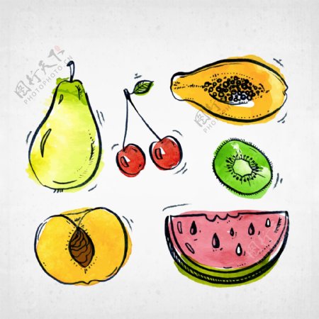 手绘美味水果插图
